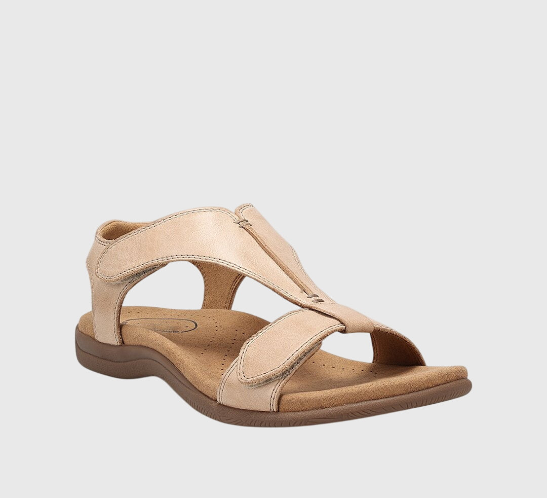 Beige / 43