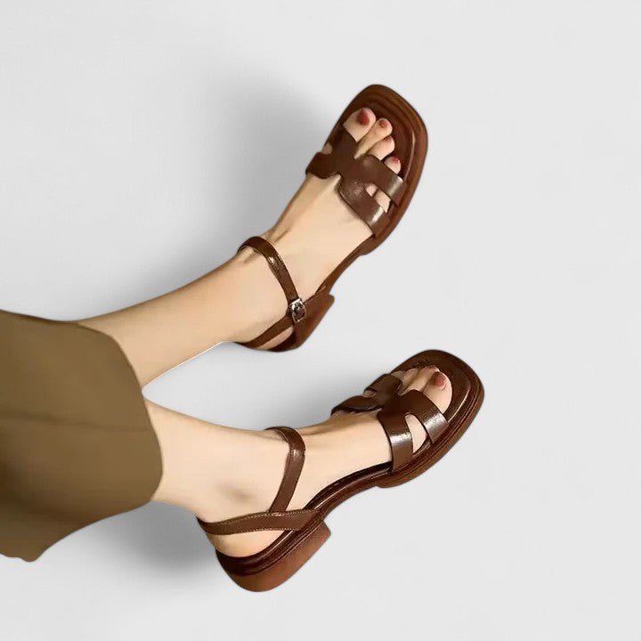 Marron / 40